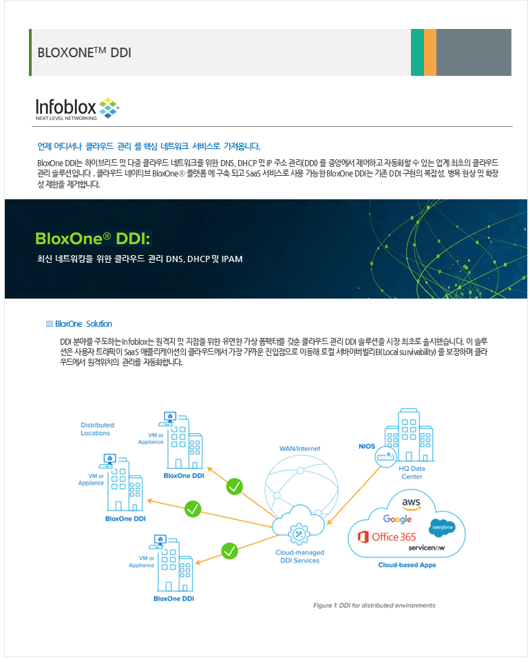 InfoBlox BloxOne DDI > 솔루션 | (주)올레이어